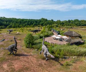 Jedyne muzeum na świecie, które stoi nad czynnym stanowiskiem paleontologicznym. Znajdziesz je godzinę drogi od Katowic