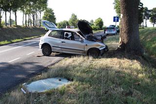 Tragiczny wypadek pod Kruszwicą. Nie żyje 58-letni mężczyzna! [ZDJĘCIA]