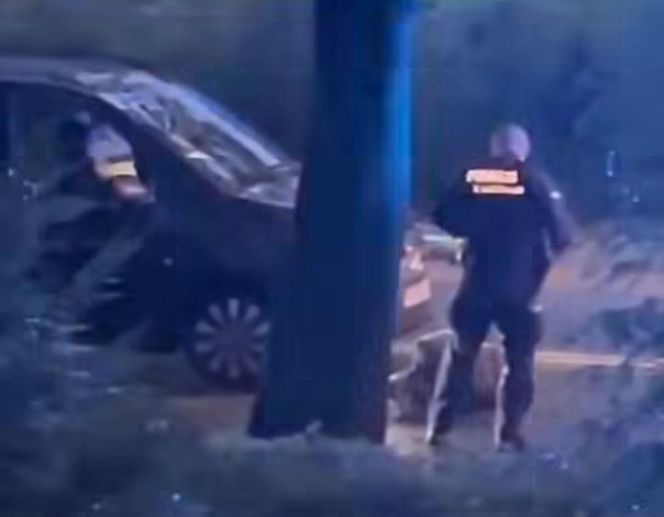 Mężczyzna zaatakował policjantów w Sosnowcu. Nowe nagranie
