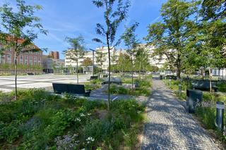 Plac Nowy Targ we Wrocławiu