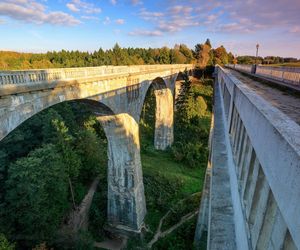 Najpiękniejsze lasy w Polsce na jesienne spacery. Gdzie warto pojechać, zanim opadną liście?