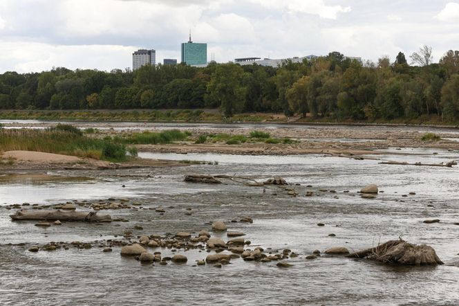 Rekordowo niski stan wody w Wiśle w Warszawie (23.08.2025)