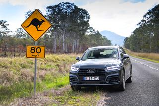 Audi Q5 po kraju, w którym wszystko chce cię zabić. Tu spojrzenie na SUV-a nabiera nowego znaczenia - TEST