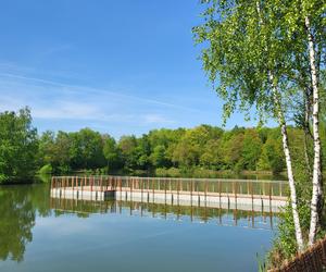 Kraków - Park Tetmajera