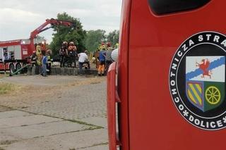 Krowy topiły się w szambie