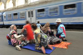 Polska przyjmie łącznie ponad 11 tys. uchodźców