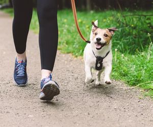 Już nie 10 tys. kroków dziennie. Zrób TO, a będziesz się cieszyć dobrym zdrowiem na lata
