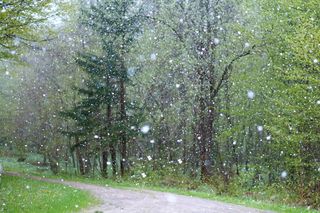 Załamanie pogody w Tatrach. Na Kasprowym Wierchu odczuwalna temperatura spadła poniżej zera