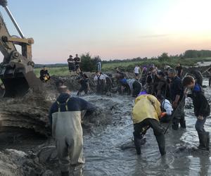 Poszukiwacze bursztynu w Rewie. Jak wyglądają poszukiwania złota Bałtyku? 