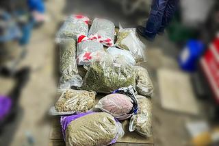 Dilerzy narkotykowi zatrzymani w Łódzkiem