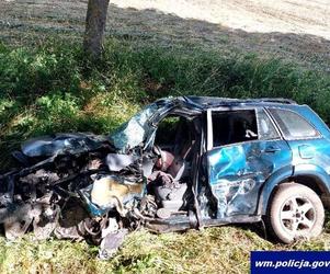 Śmiertelny wypadek na trasie Barciany - Stary Dwór Barciański. Auto uderzyło w dwa drzewa [ZDJĘCIA]