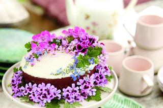 Pelargonie na 1001 sposobów – kapelusik Ani z Zielonego Wzgórza