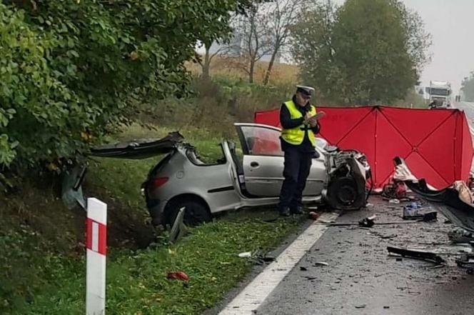 Kierowca wpadł w poślizg i czołowo zderzył się z autem bydgoszczanki. Oboje zginęli [ZDJĘCIA] 