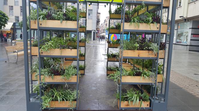 Zielona lauba w Katowicach