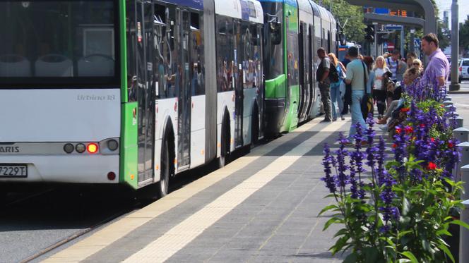 Kwietniki na przystanku tramwajowym na Bramie Portowej
