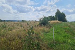 Zabójstwo w Sołonce. Mąż miał zabić żonę [GALERIA]