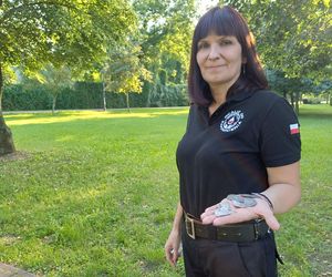Poruszający moment podczas zlotu detektorystów. Odnalezione nieśmiertelniki wróciły do rodzin