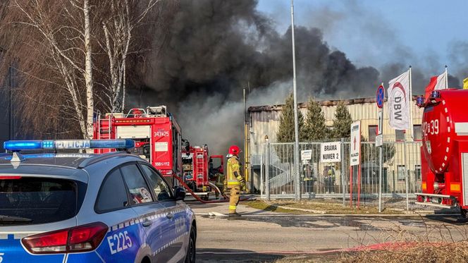 Ogromny pożar pod Zieloną Górą! Płonie hala firmy DBW. Jest pilny apel do mieszkańców