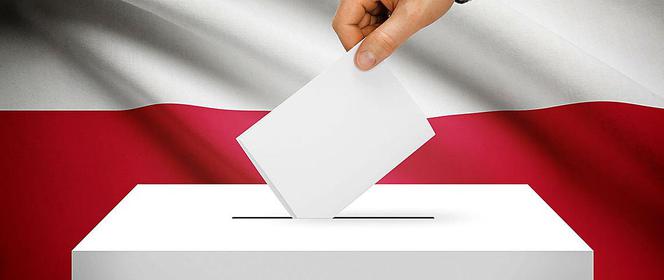 Wybory 2020 - najważniejsze informacje