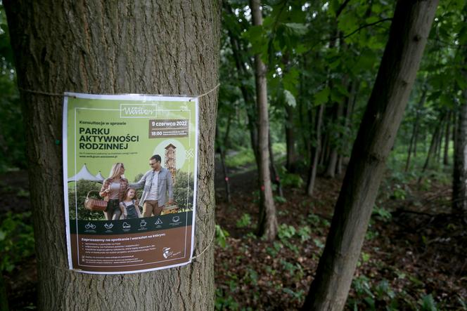 Wytną drzewa żeby zrobić Park Aktywności Rodzinnej. Mieszkańcy Wawra wściekli