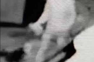 Przywiązał psa do słupa i zostawił na mrozie. To, co zrobiła przerażona suczka, łamie serce