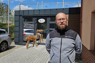 Alpak Willy dostał nową nogę i poszedł przeglądać się do lustra czy nadal jest piękny