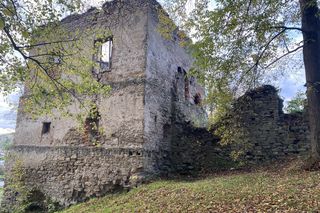 Zamek w Dąbrówce Starzeńskiej