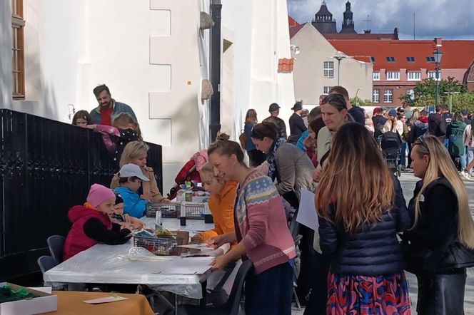 Tarasy Zamku Książąt Pomorskich otwarte po wielu latach przerwy