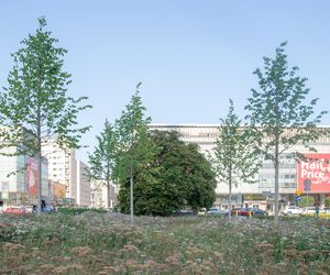 Plac Centralny w Warszawie