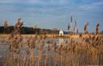 Borowiec