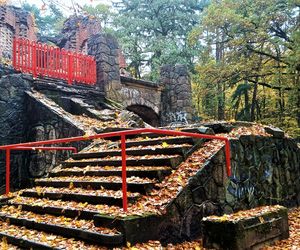 Porządkowanie terenu wokół wieży Quistorpa
