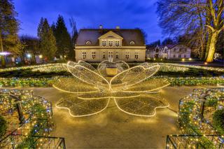 Świąteczne iluminacje w Gdańsku. ZOBACZCIE, jak jest pięknie! [ZDJĘCIA]