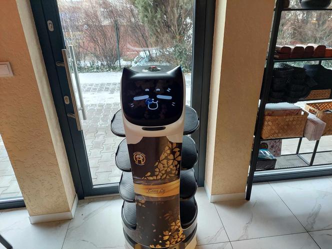 Nowa restauracja w Bydgoszczy. Gotują tu Azjaci, a do stołu podaje robot. Jest też pierwszy w regionie hot-pot