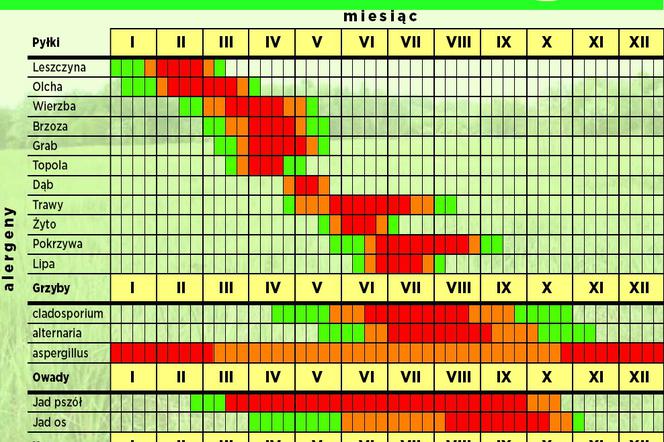 KALENDARZ ALERGIKA: Jak radzić sobie z alergią, objawy, profilaktyka, odczulanie, leki