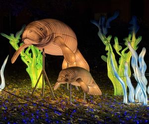 Garden of Lights we Wrocławiu