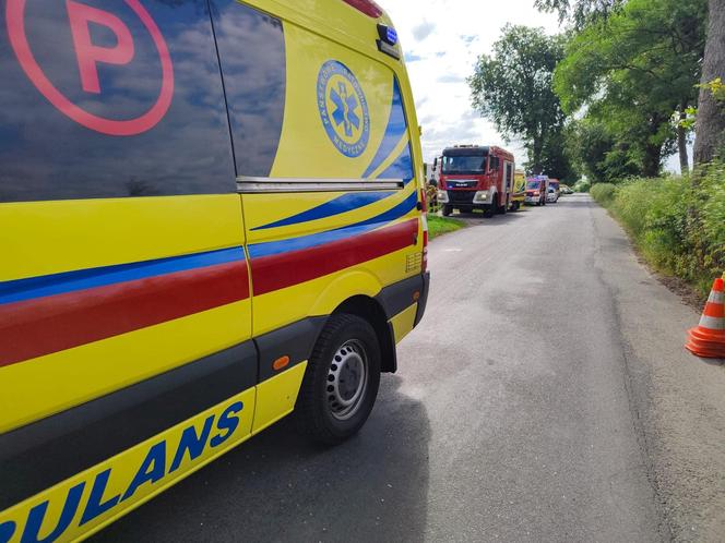 Pod Bydgoszczą autobus podmiejski uderzył w drzewo. Kilkanaście osób jest rannych!