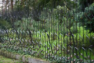 Sztuka grodzenia: jakie ogrodzenie wybrać