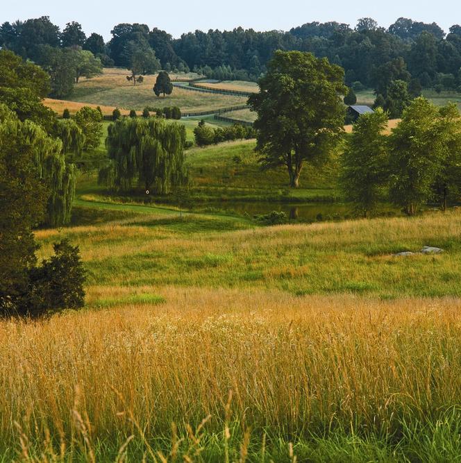 Krajobraz to potężne medium