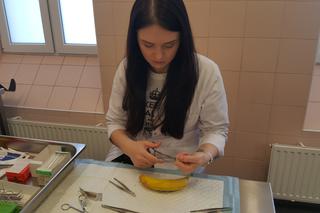 Drzwi Otwarte w Collegium Medicum UMK