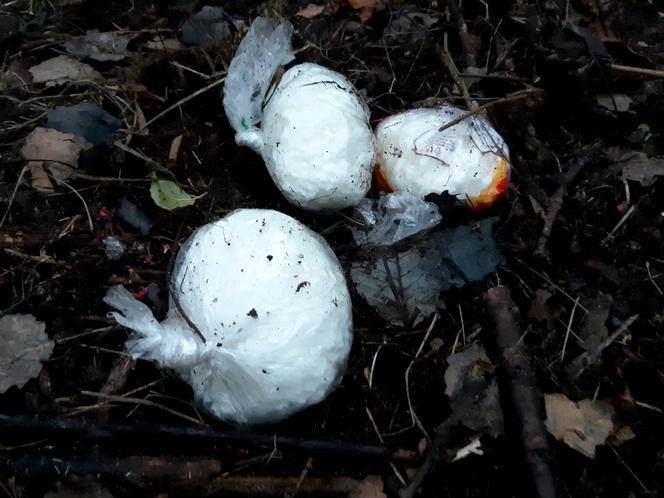 Otwock: policja zatrzymała dilera, który zakopał w ziemi ponad 2 kg narkotyków