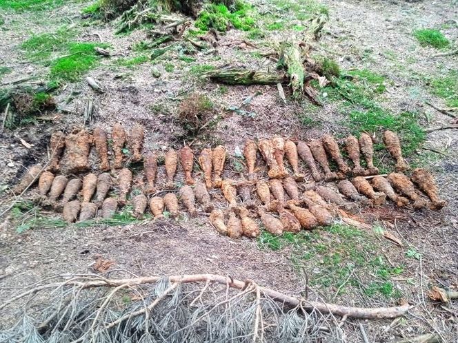Wybuchowe odkrycia na S19 na Podkarpaciu