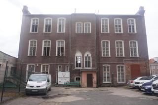 Kocia kawiarnia w Olsztynie się zamyka. Jaki los czeka koty? [ZDJĘCIA]