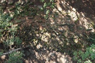 Wyjątkowe prace na cmentarzu żydowskim w Warszawie