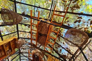 Dyniowa Farma w Radawie.  Jedno z najbardziej instagramowych miejsc na Podkarpaciu [GALERIA]