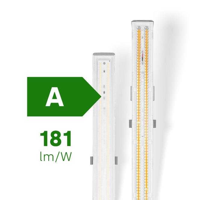 Linea S LED 