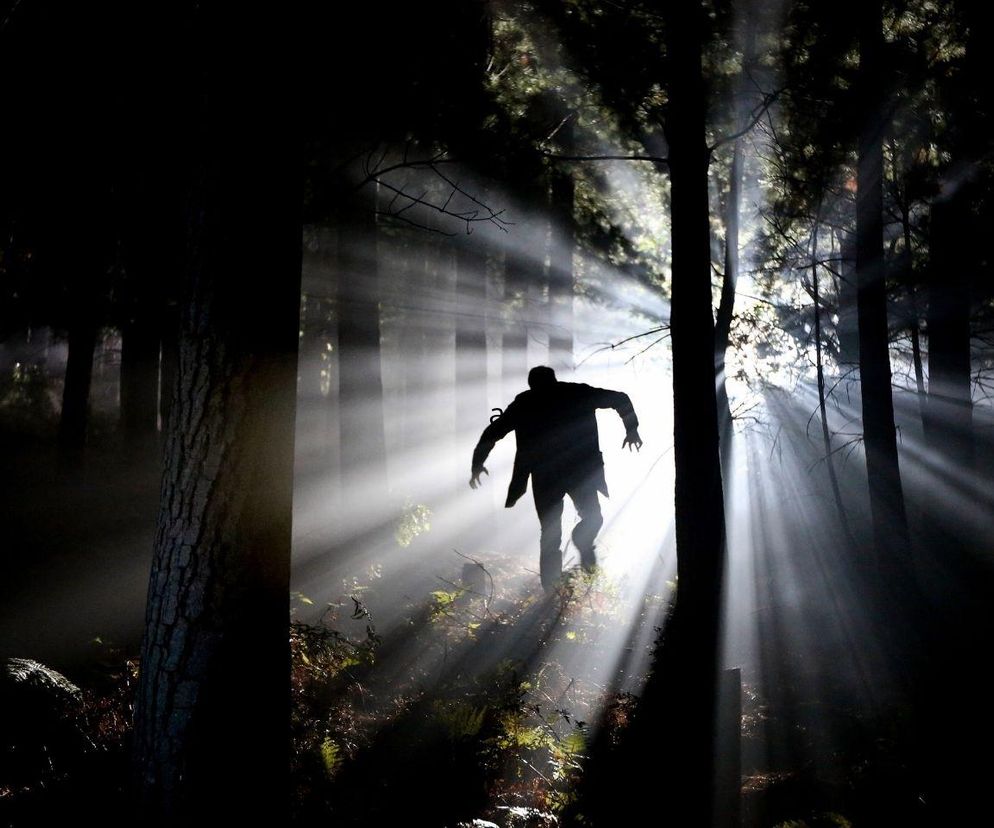 Po czym poznać psychopatę? Rozmawiają najczęściej na trzy tematy!