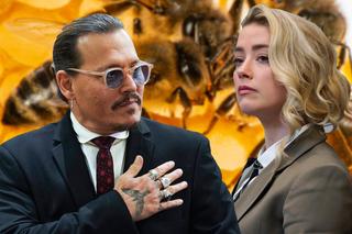 Sprawa Johnny Depp vs. Amber Heard. Maja Staśko: To bardzo szkodliwy spektakl! 