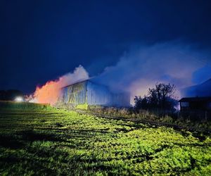Pożar w Andrzejkach. Strażacy walczyli o uratowanie zwierząt i domu