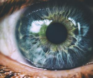 Ceremonia ayahuasca (ajałaska) - na czym polega ten rytuał?