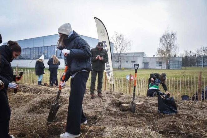 Nowy las w Rybniku urośnie pomiędzy zabudową mieszkaniową